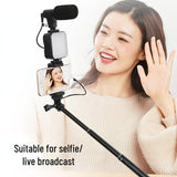 🔥2024 New Year Hot Sale 23% OFF🔥Professional video Microphone kit with Tripod Stand and LED Light